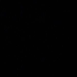 Meet your Posher, Breanna